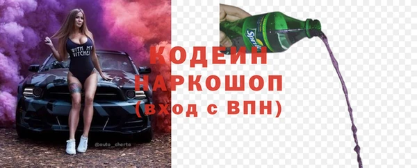 прущий лед Корсаков