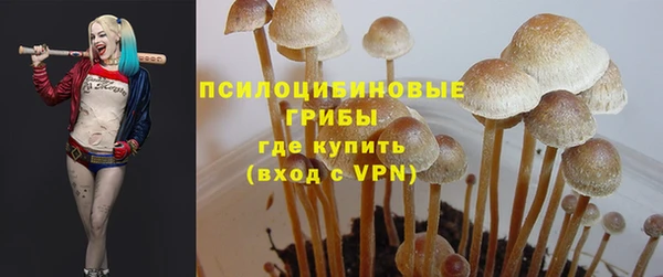 прущий лед Корсаков
