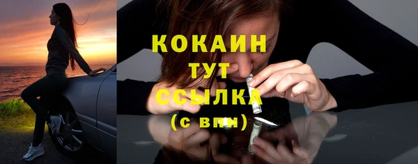 дурь Коряжма