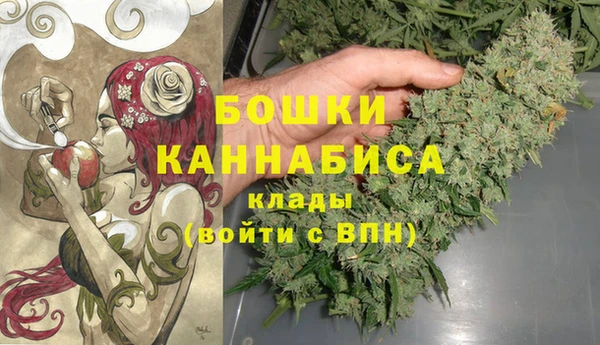 дурь Коряжма