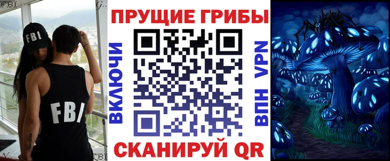 Купить  Дмитриев  Галлюциногенные грибы прущие грибы 